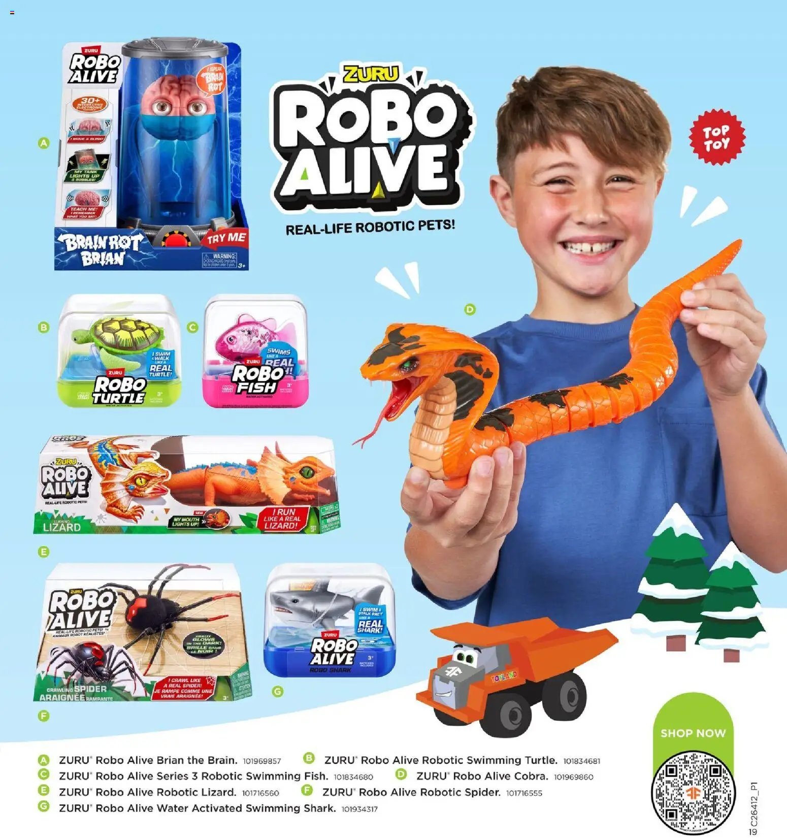 Mills Fleet Farm Catalogs
