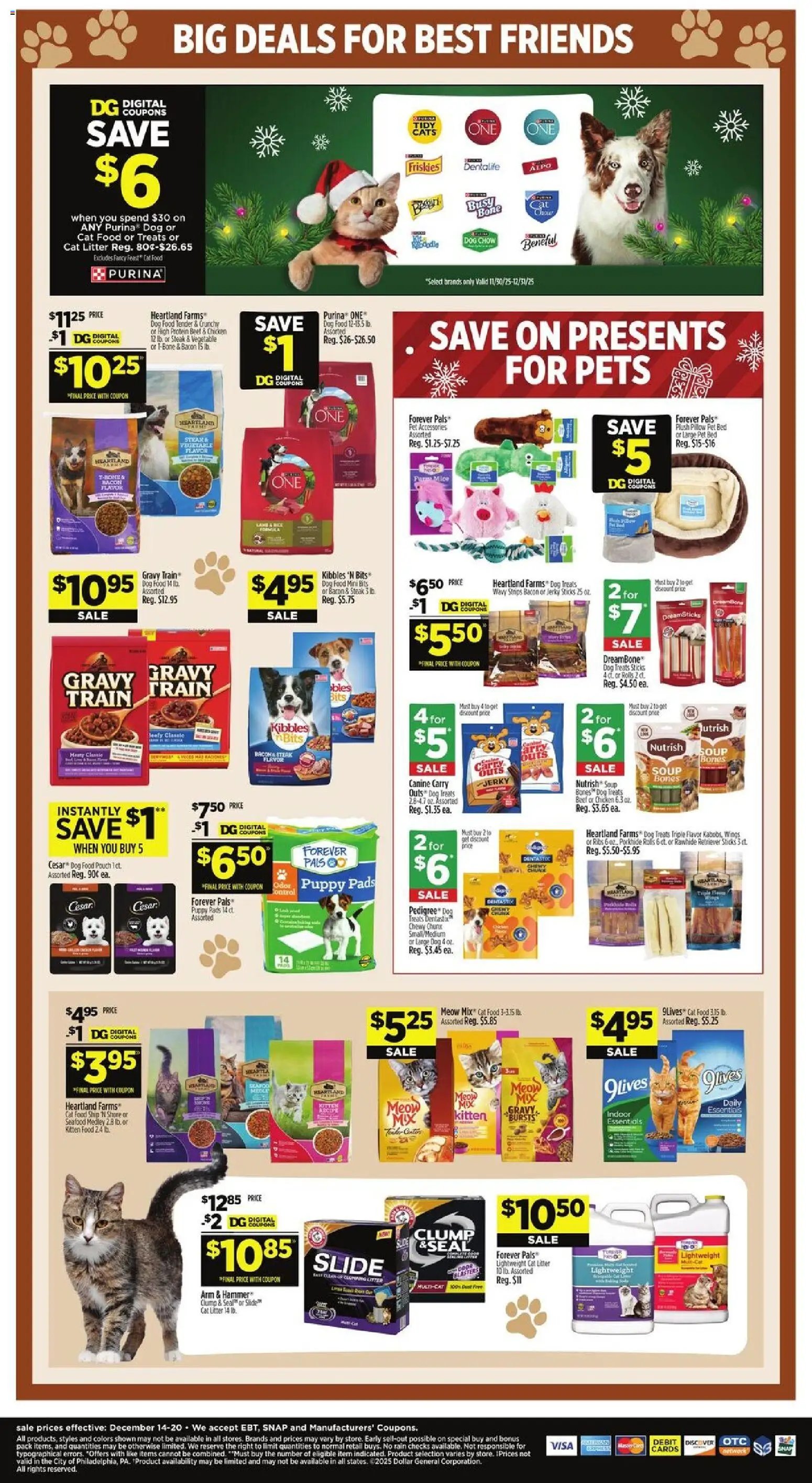 Dollar General Weekly Ad - TX
