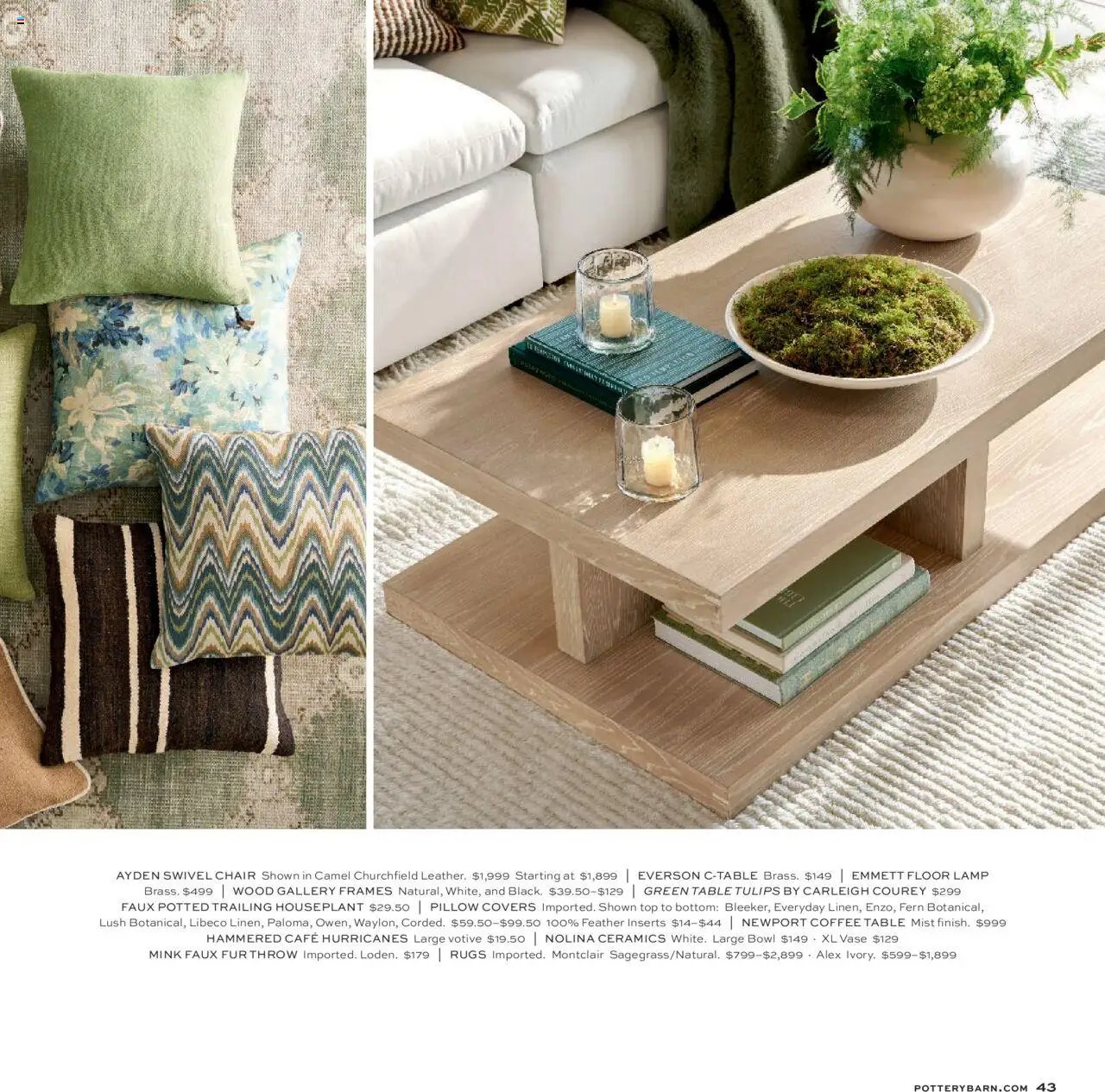 Pottery Barn Spring 2025 (2024-12-11 - 2026-01-01) | 43