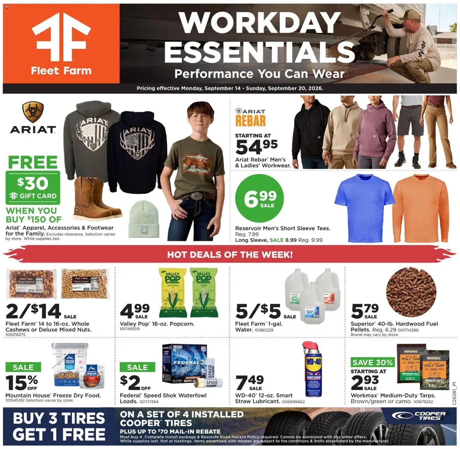 Mills Fleet Farm Weekly Ad