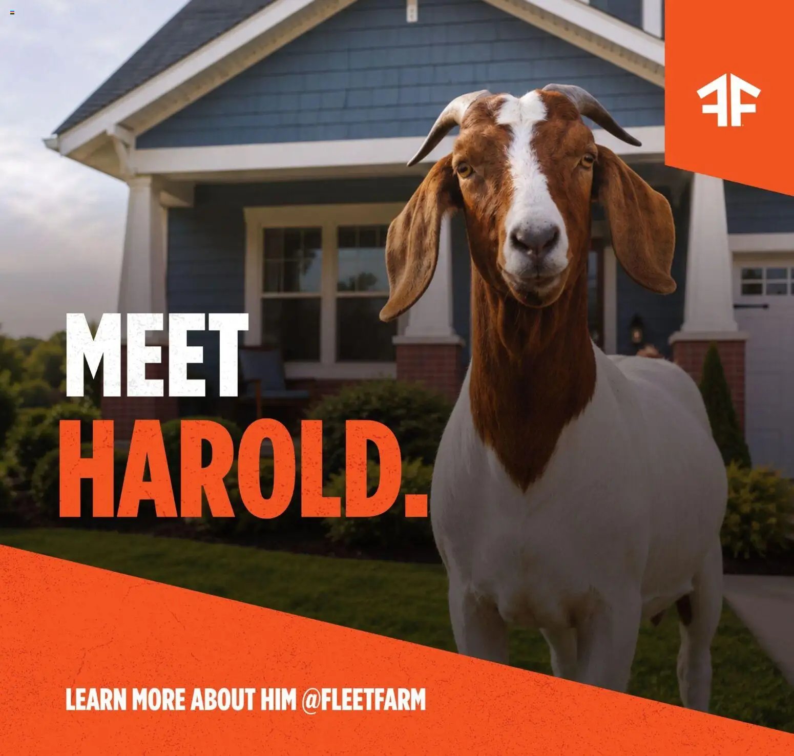 Mills Fleet Farm Weekly Ad