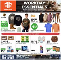 Mills Fleet Farm Weekly Ad