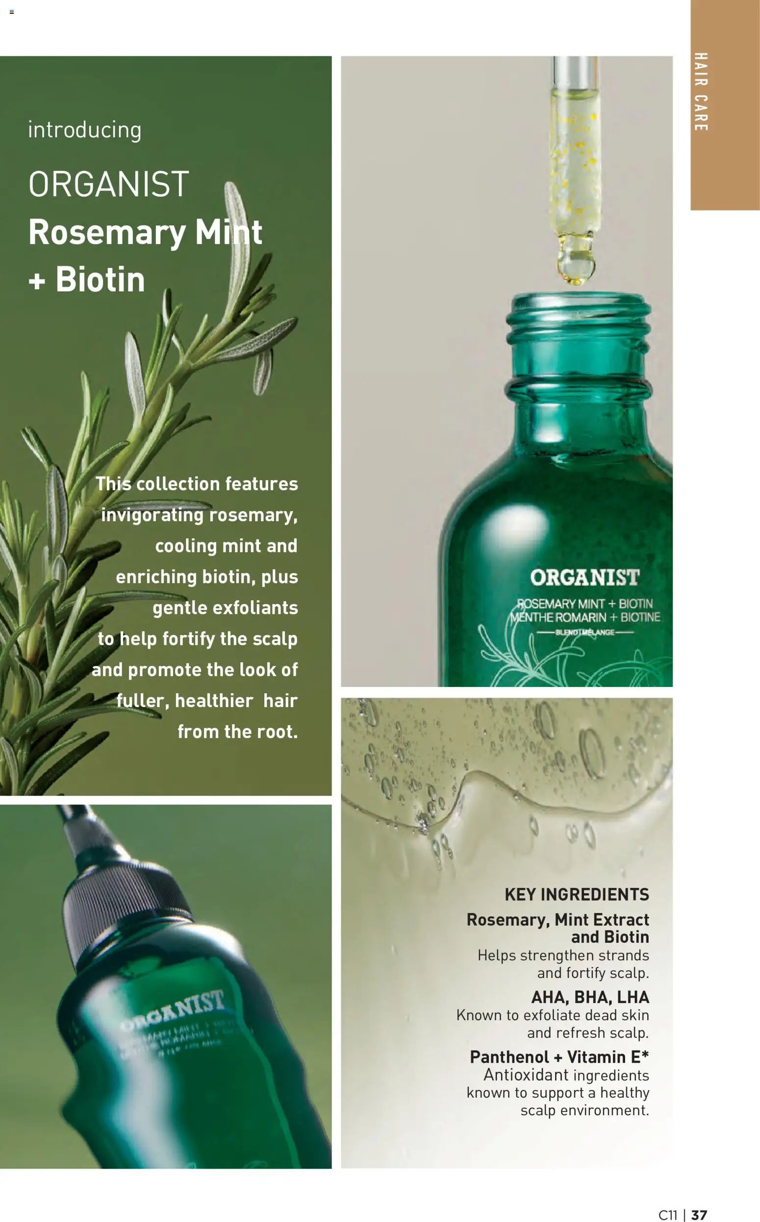 Avon Brochure