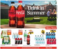 Winn Dixie In-Store Flyer - GA