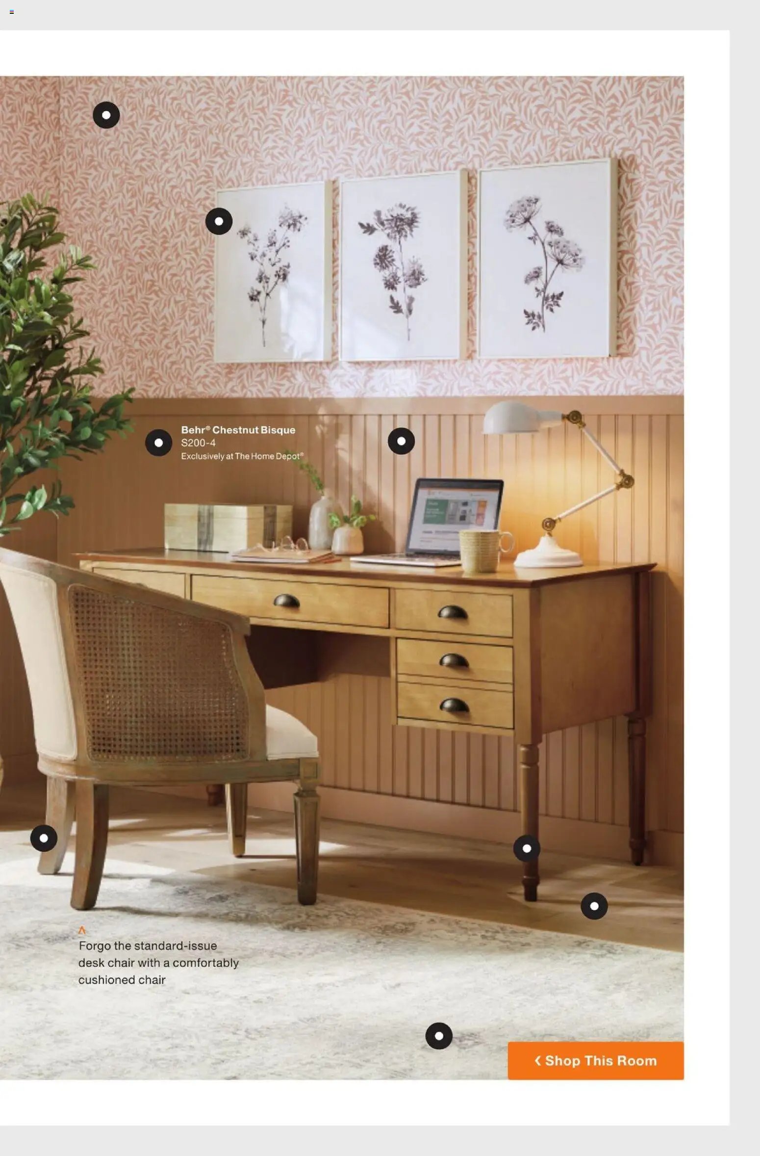 Home Depot Catalog