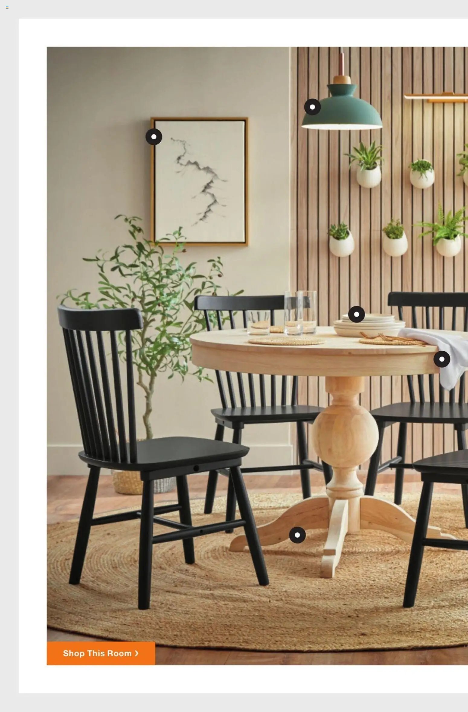 Home Depot Catalog