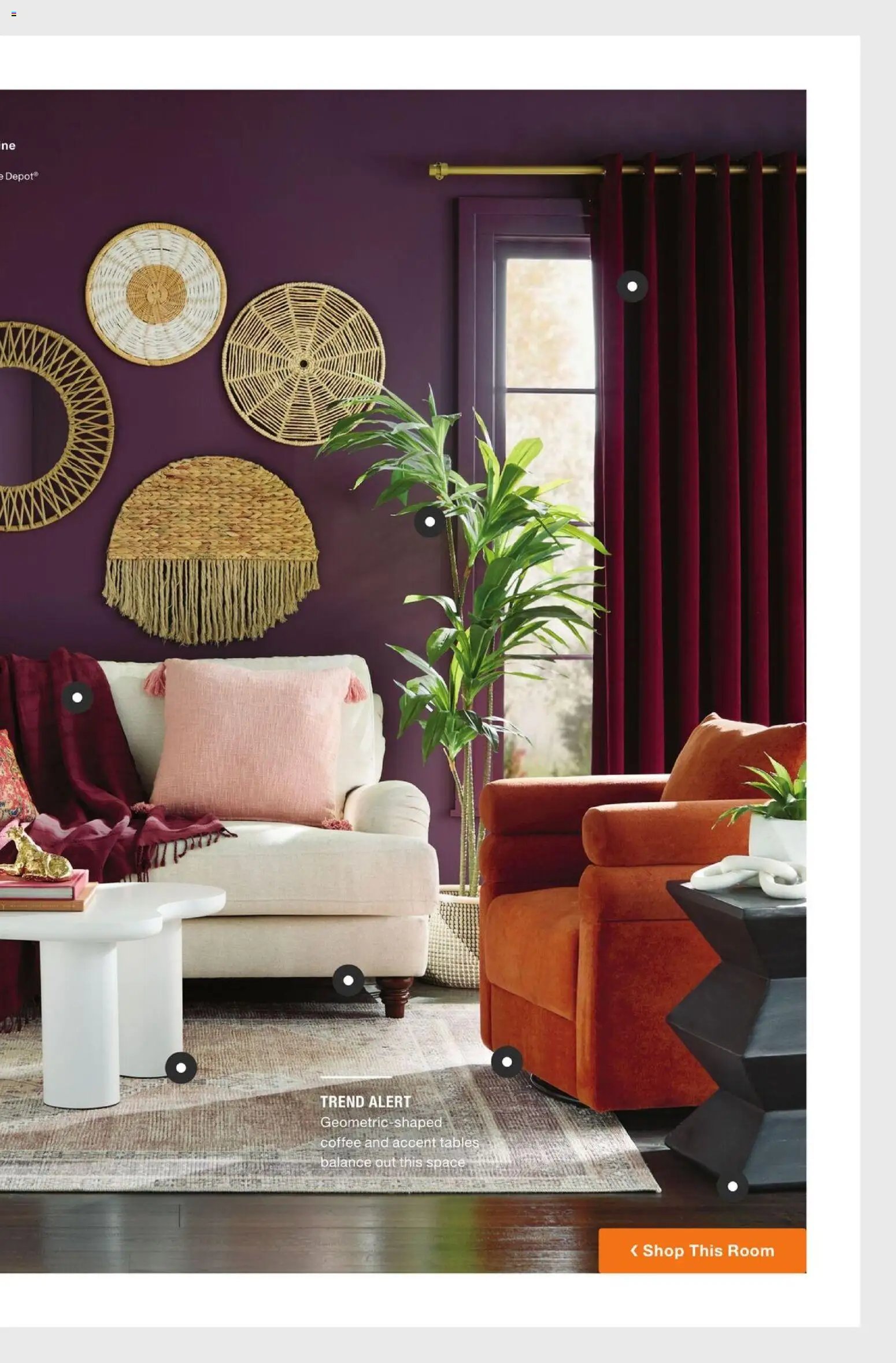 Home Depot Catalog