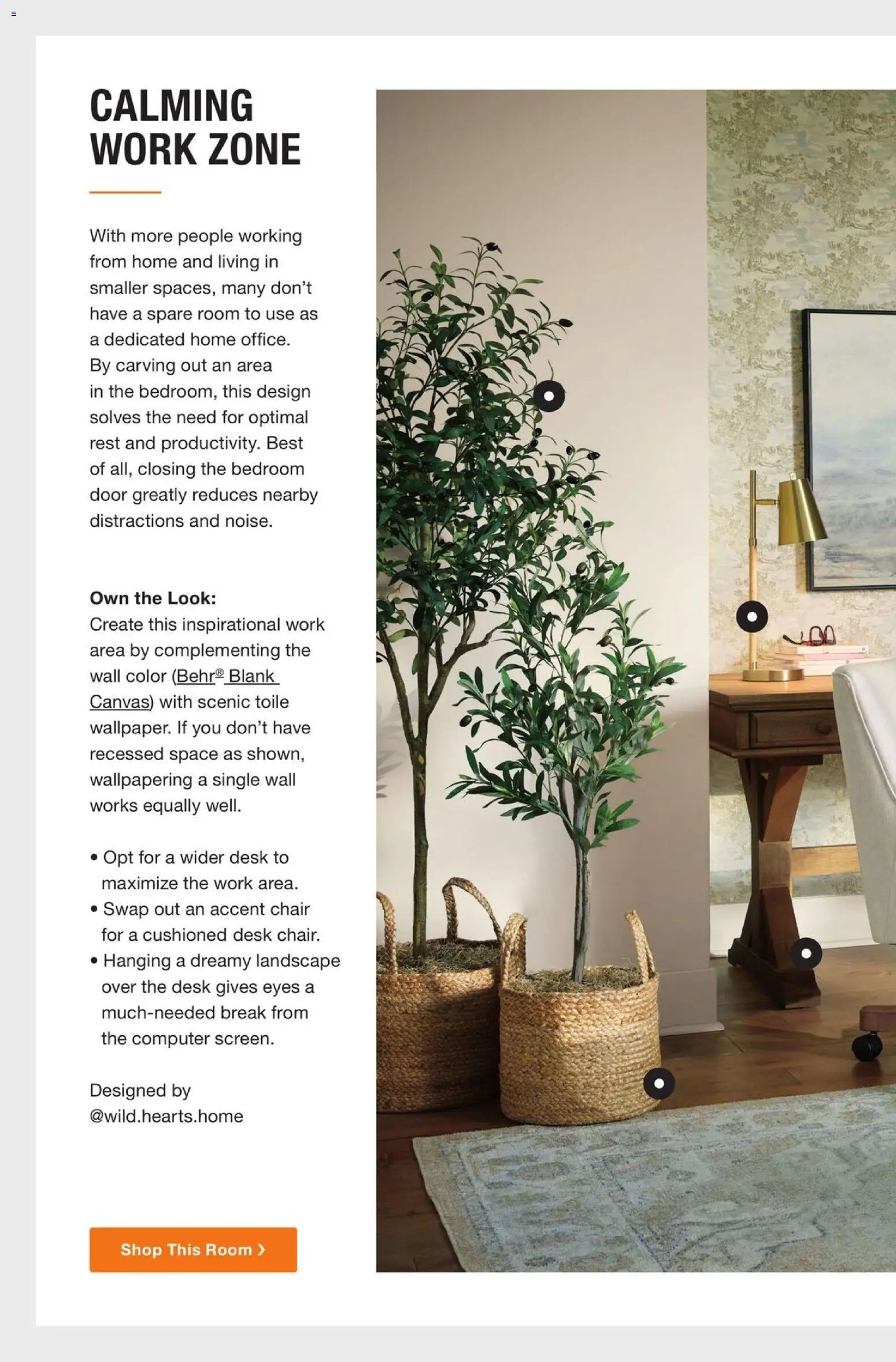 Home Depot Catalog