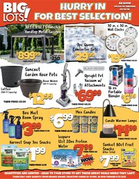Big Lots Weekly Ad
