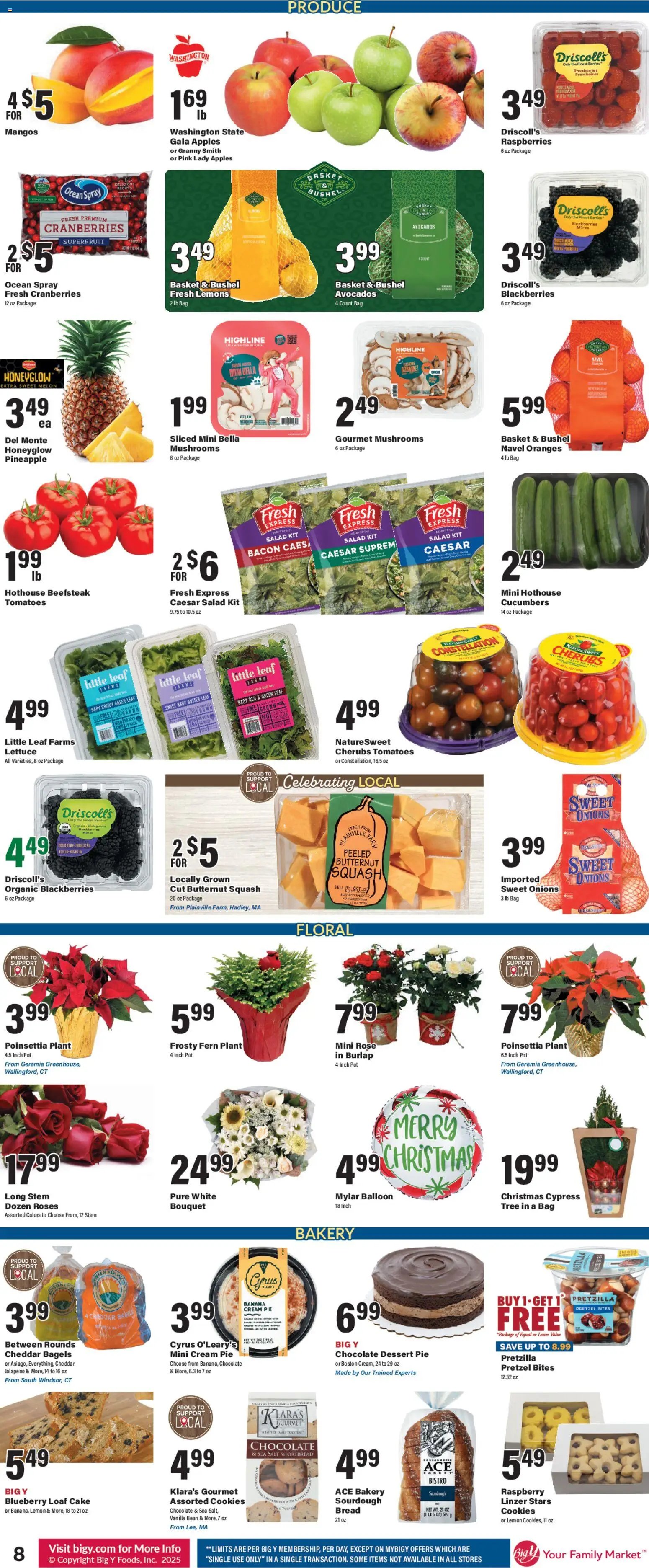 Big Y Weekly Ad