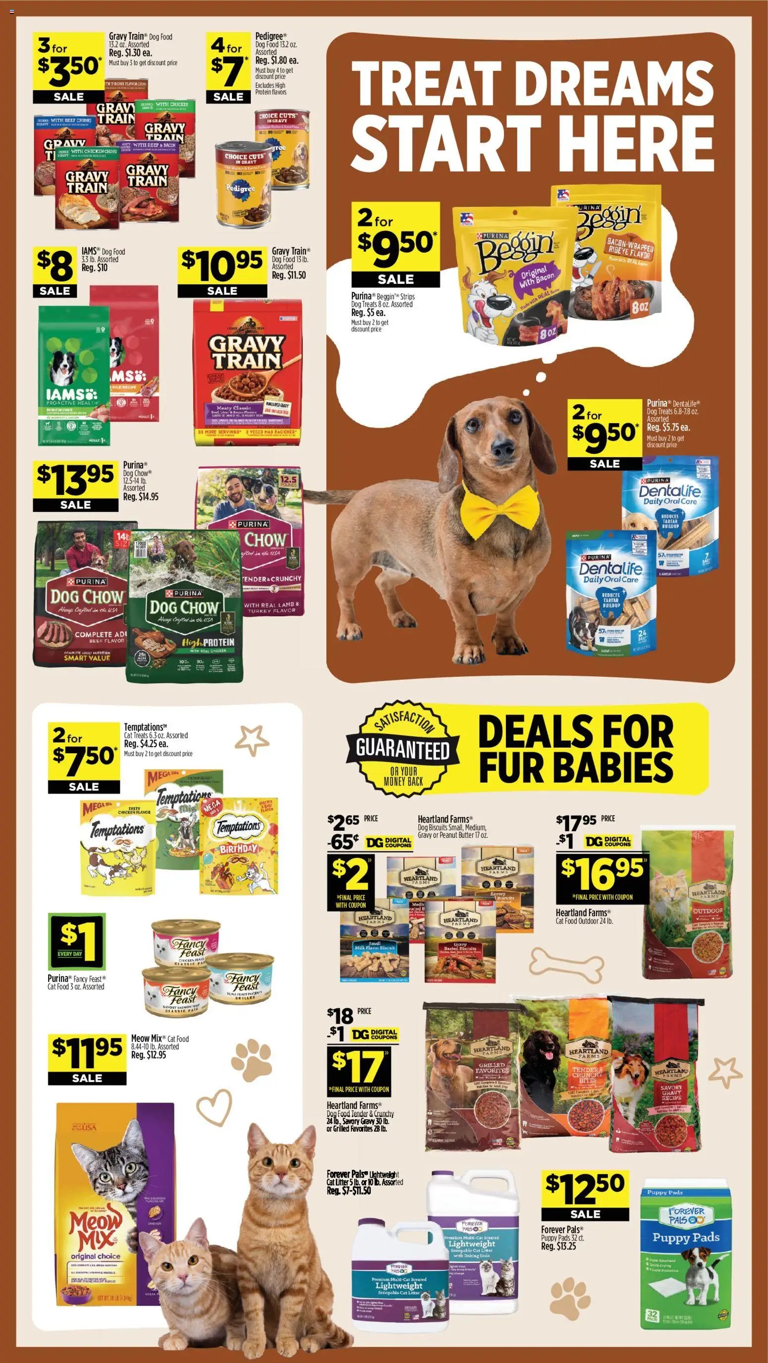 Dollar General Weekly Ad - TX