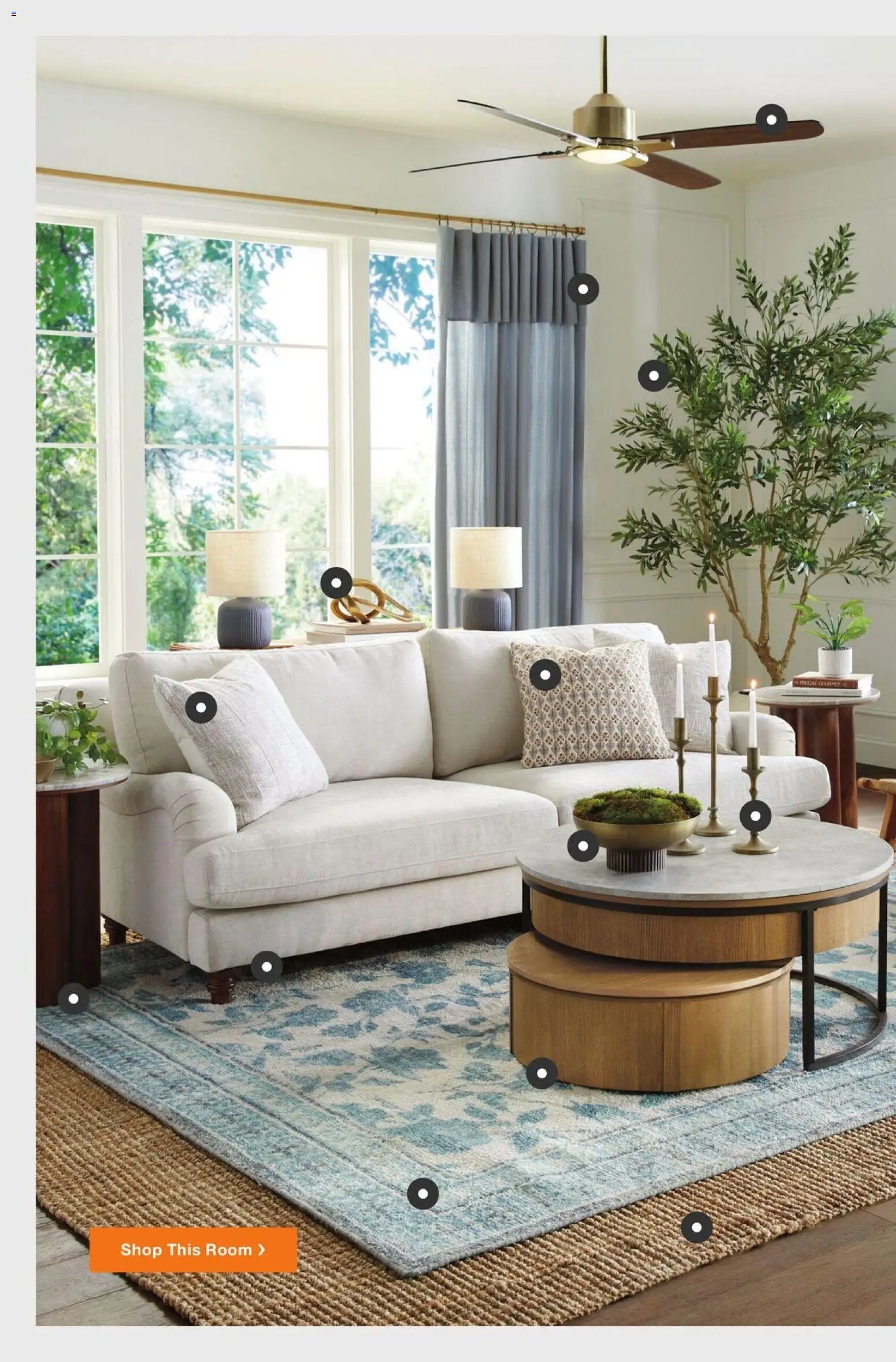 Home Depot Catalog