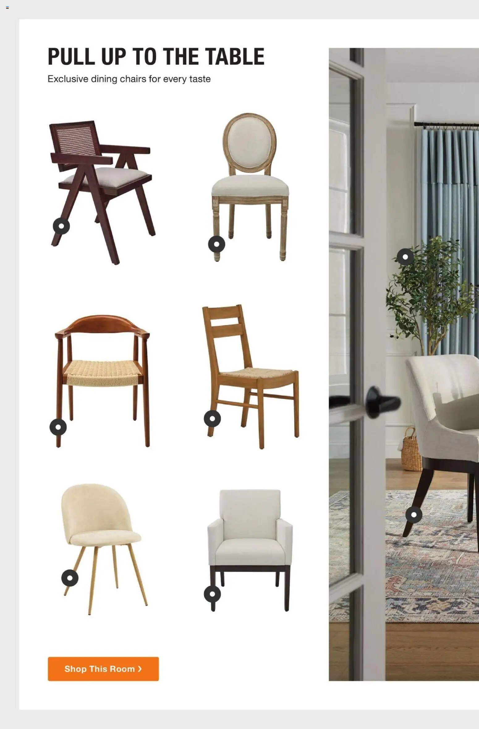 Home Depot Catalog