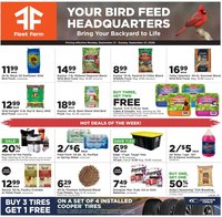 Mills Fleet Farm Weekly Ad