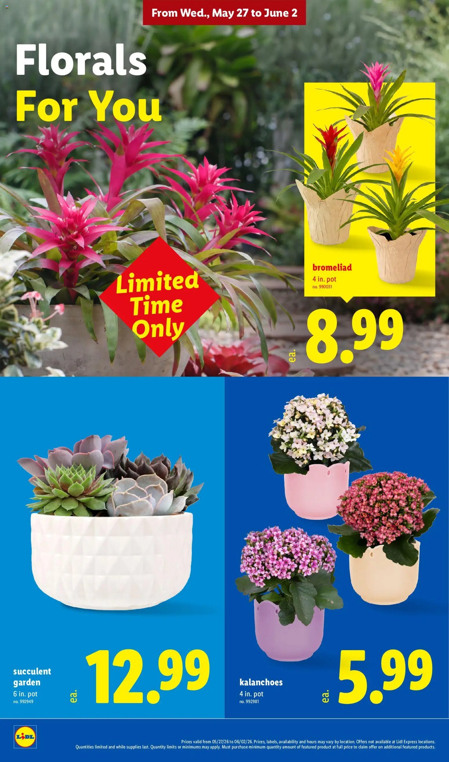 Lidl Weekly Ad
