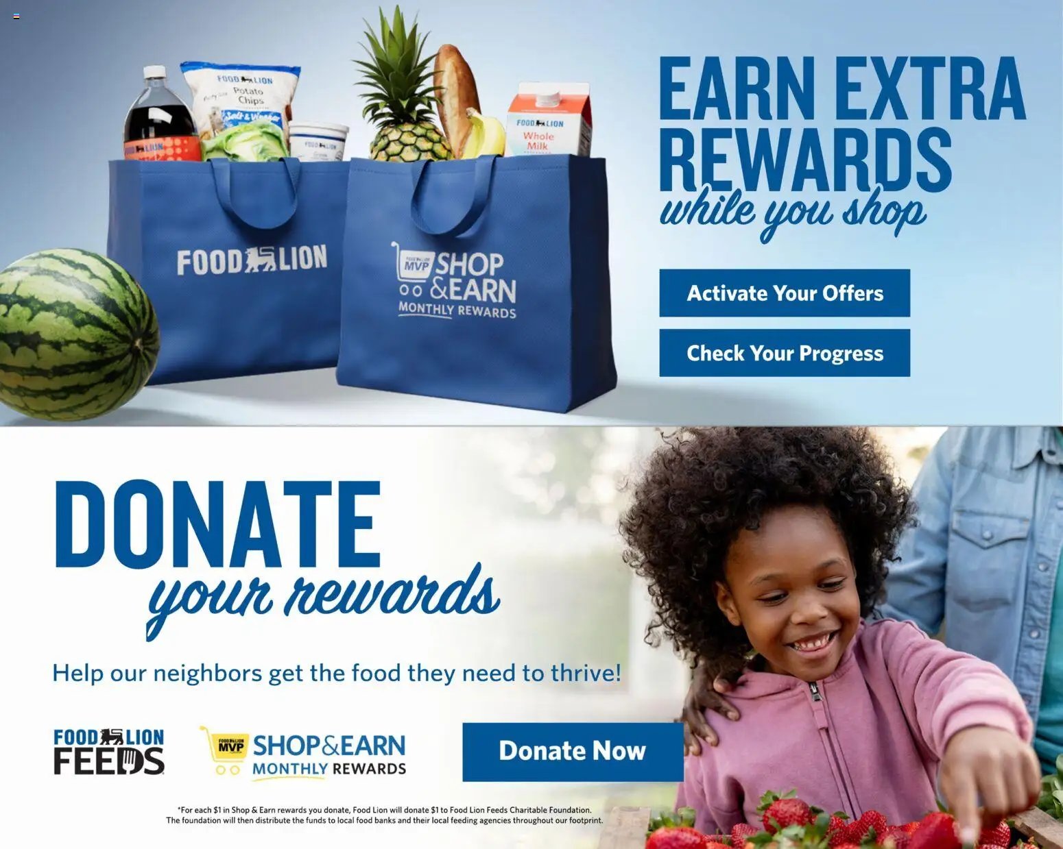 Food Lion Weekly Ad