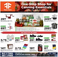 Mills Fleet Farm Weekly Ad