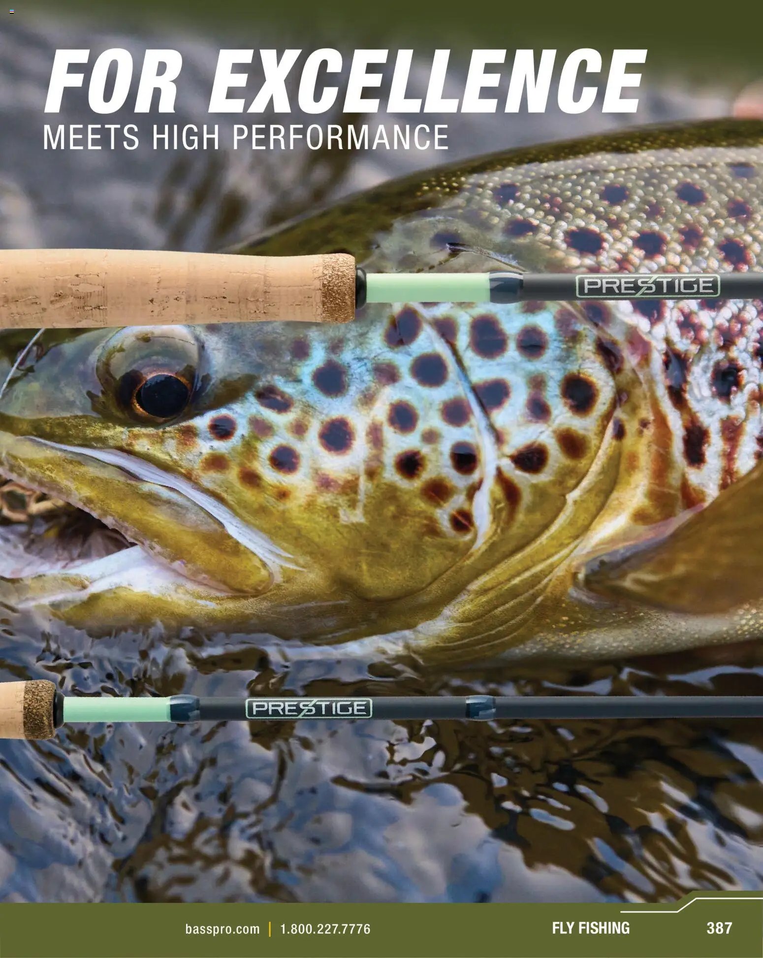 Cabela's Spring Fishing Master 26