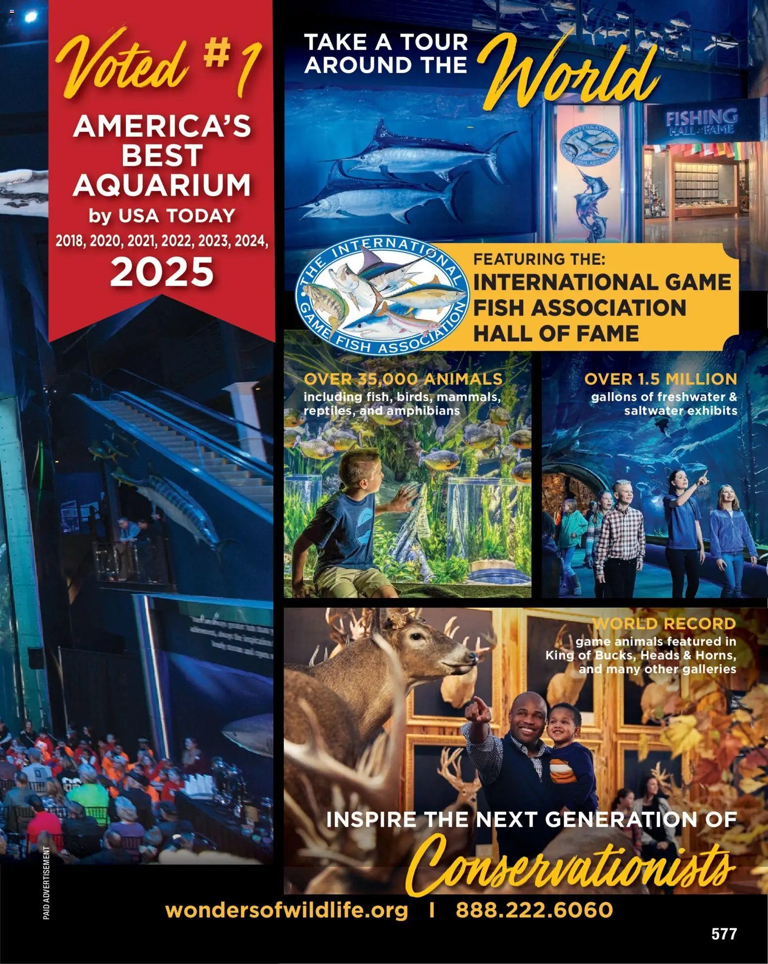 Cabela's Spring Fishing Master 26