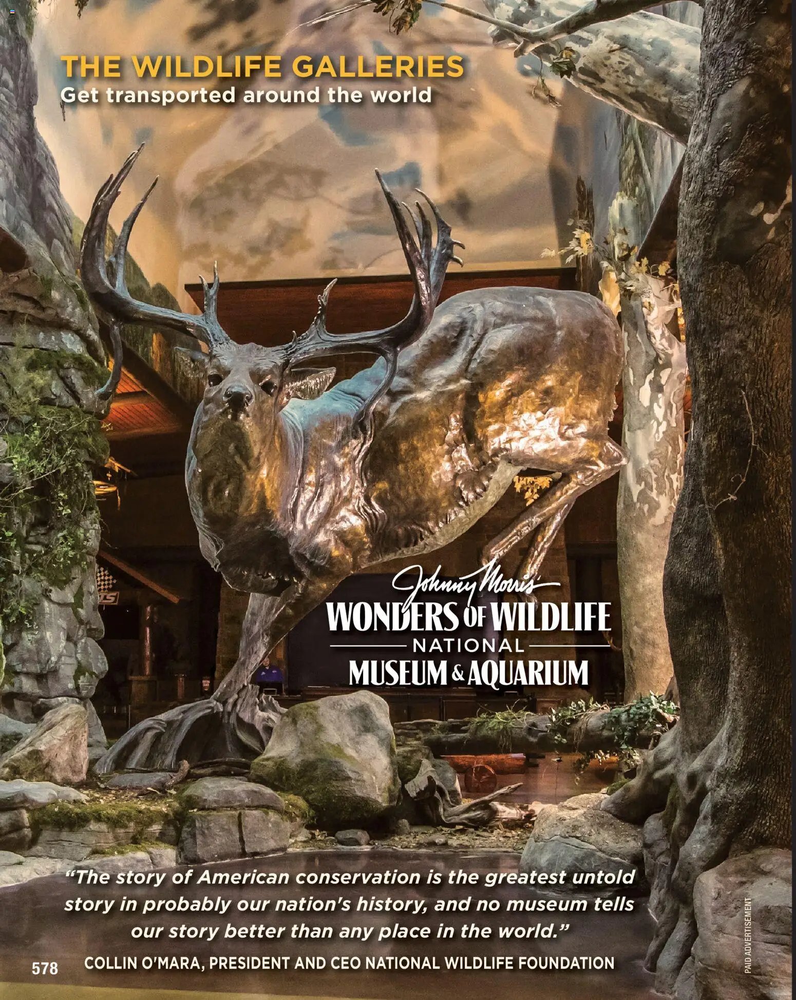 Cabela's Spring Fishing Master 26