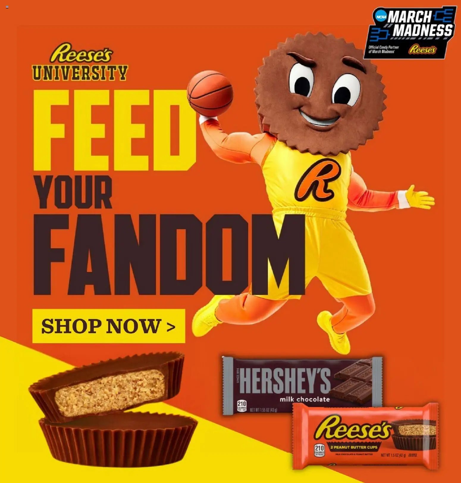 Lowes Foods Weekly Ad - GA