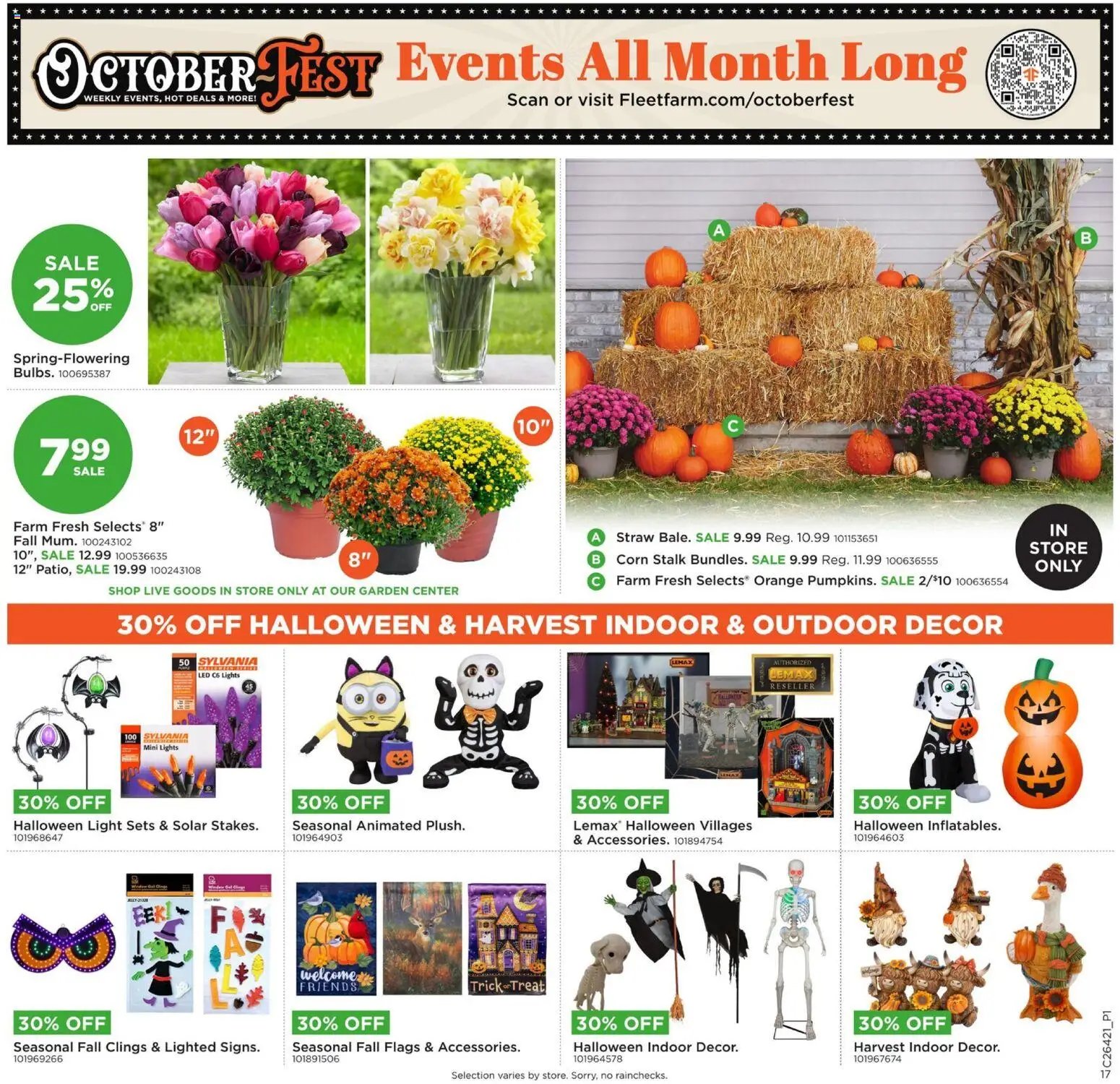 Mills Fleet Farm Weekly Ad