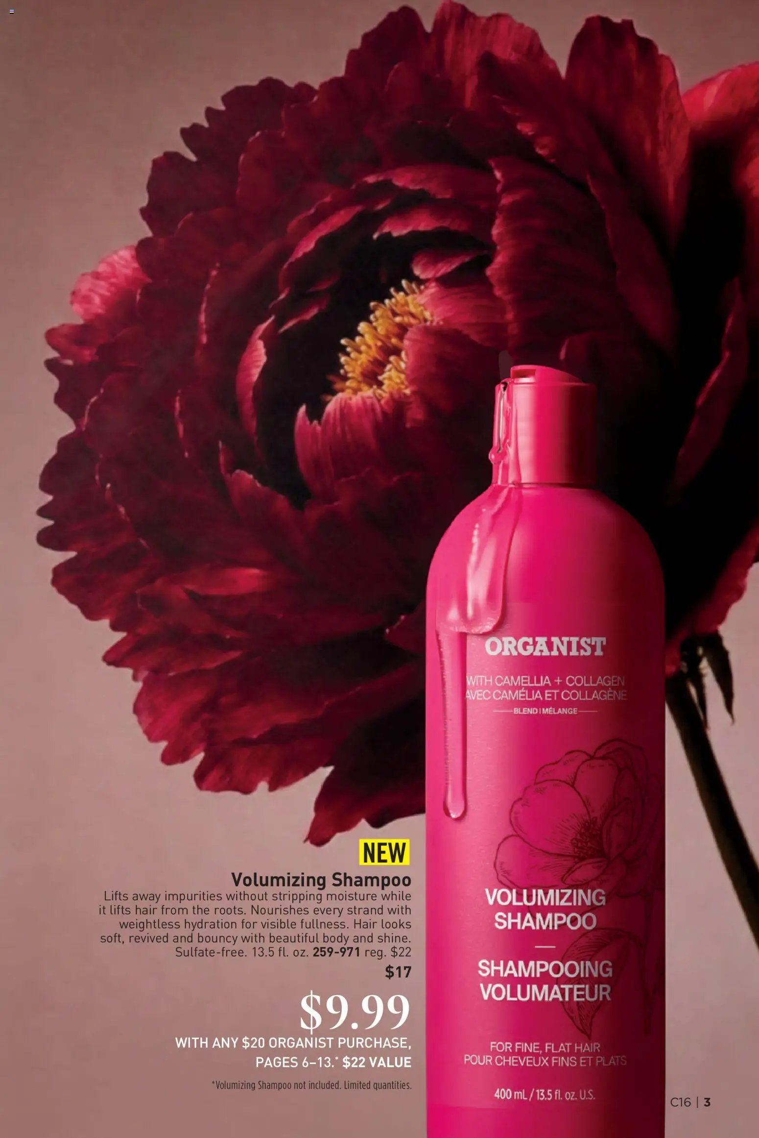Avon Brochure