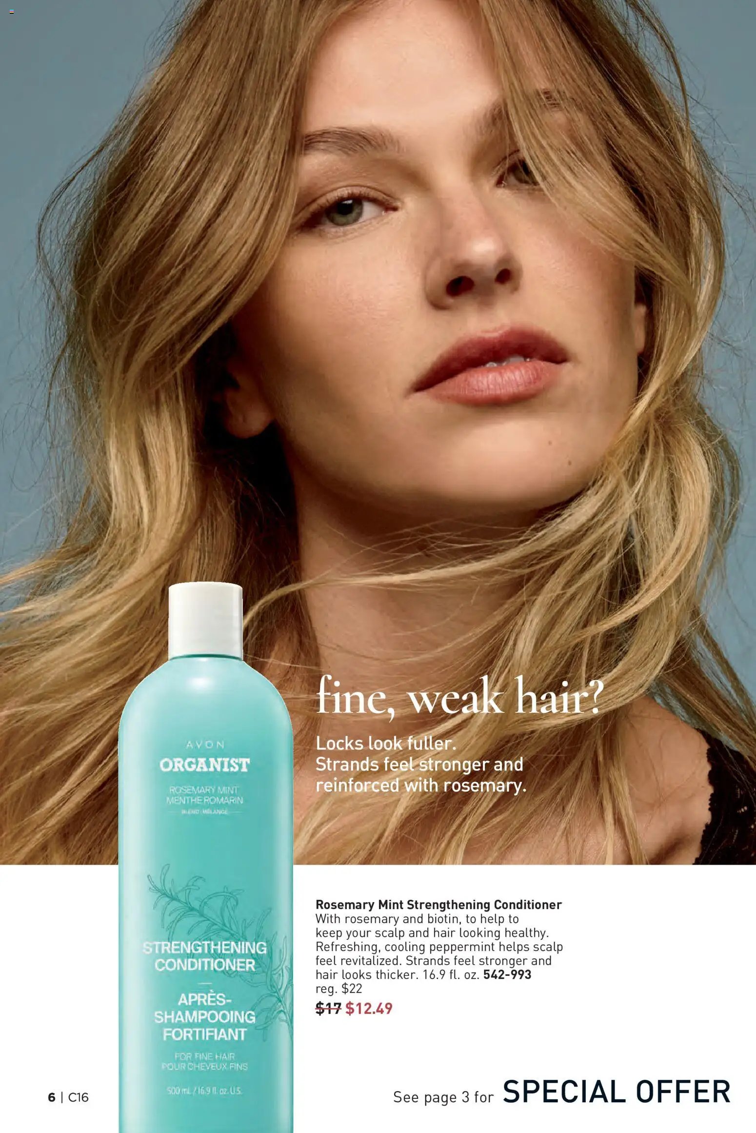 Avon Brochure