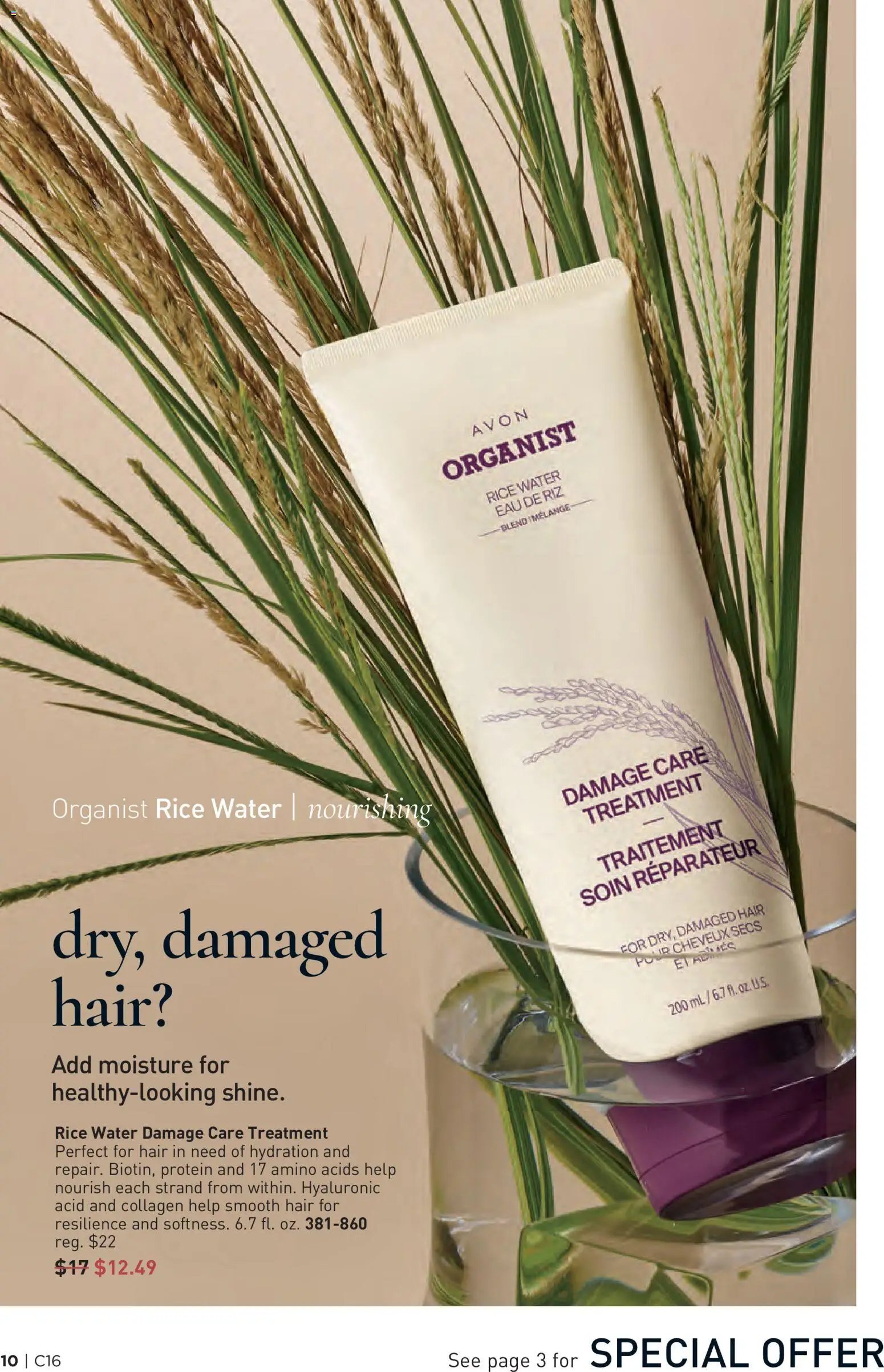 Avon Brochure