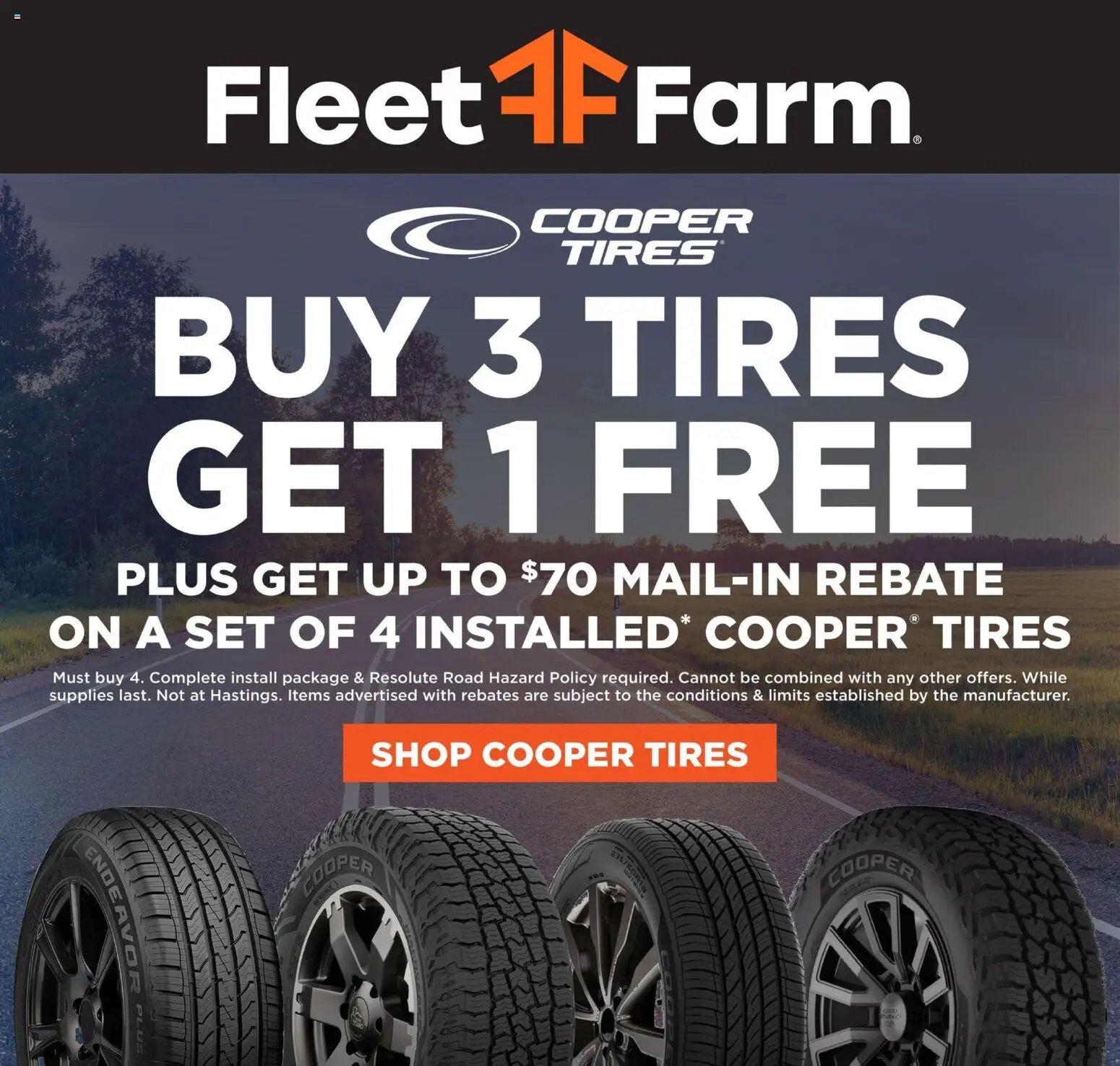 Mills Fleet Farm Weekly Ad