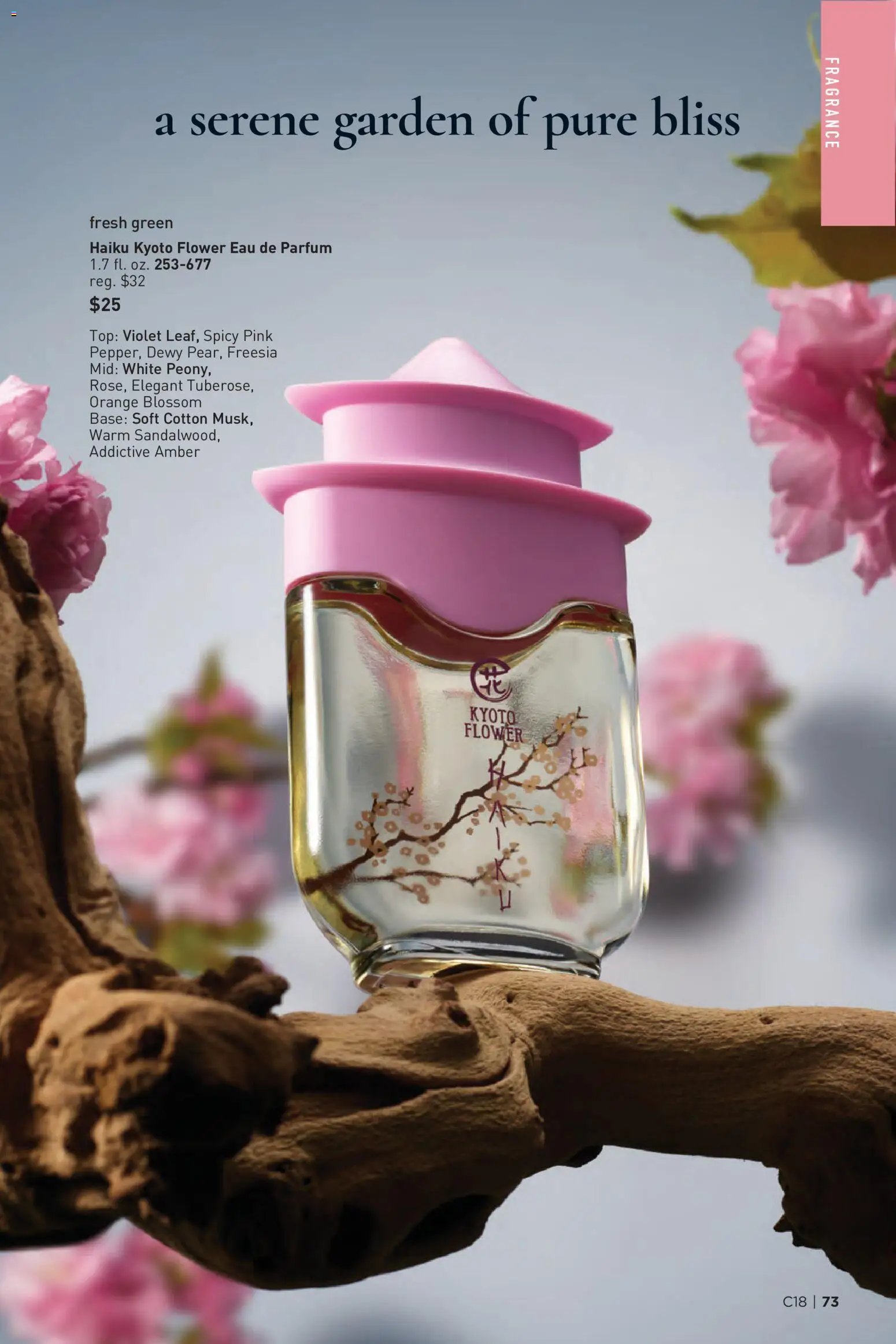 Avon Brochure