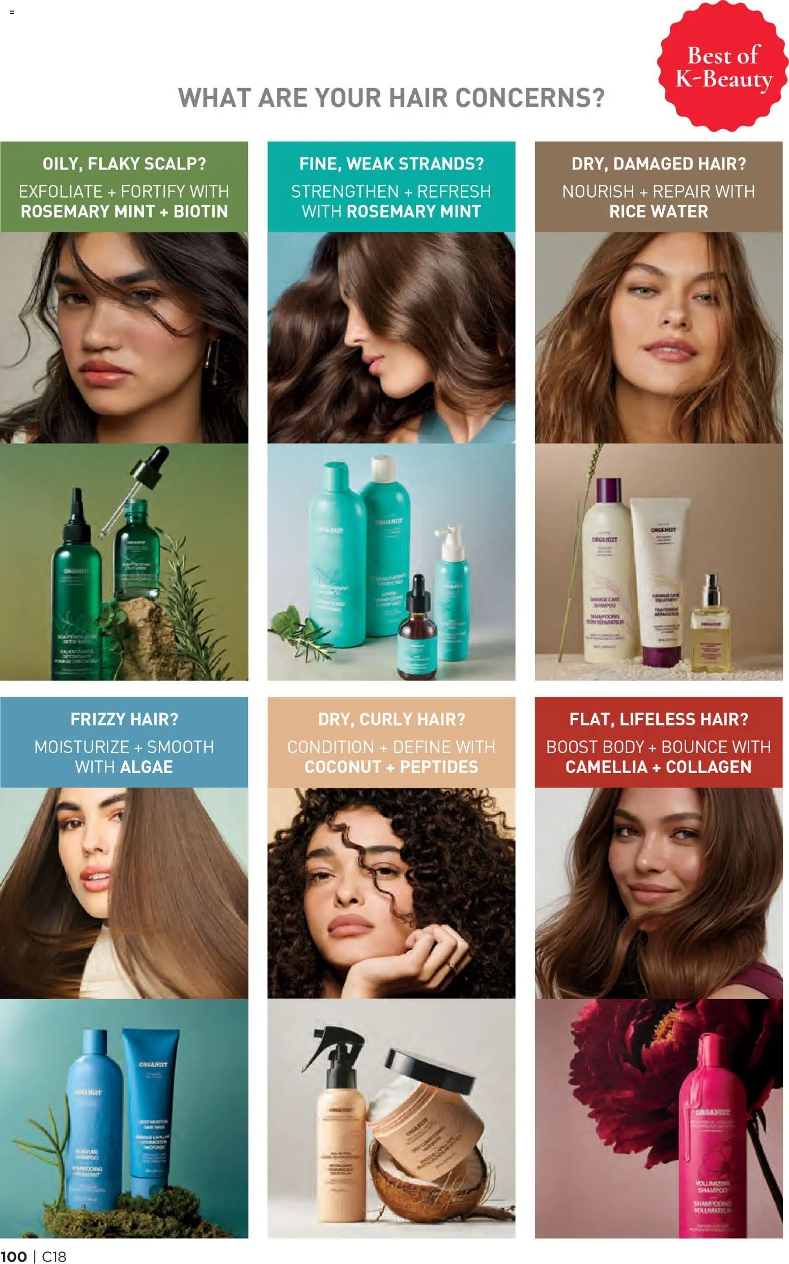 Avon Brochure