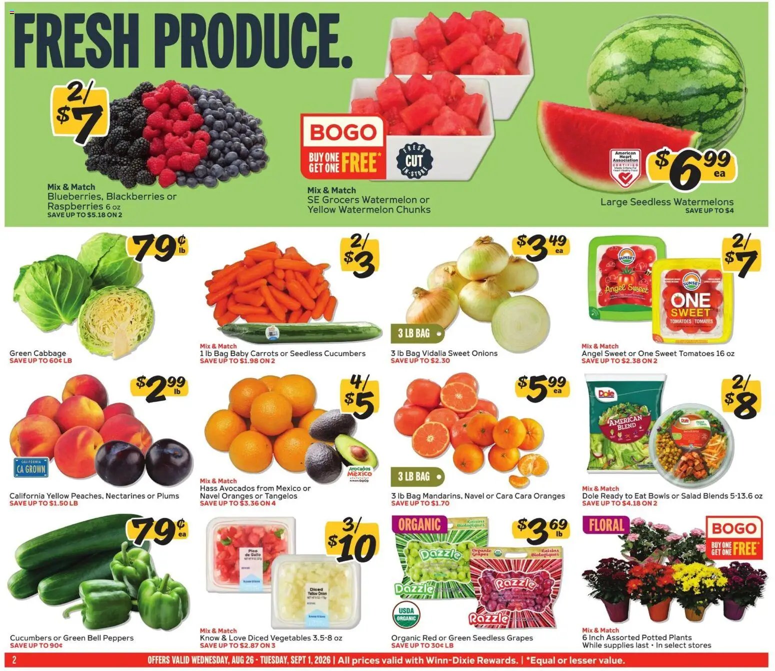 Winn Dixie Weekly Circular - GA