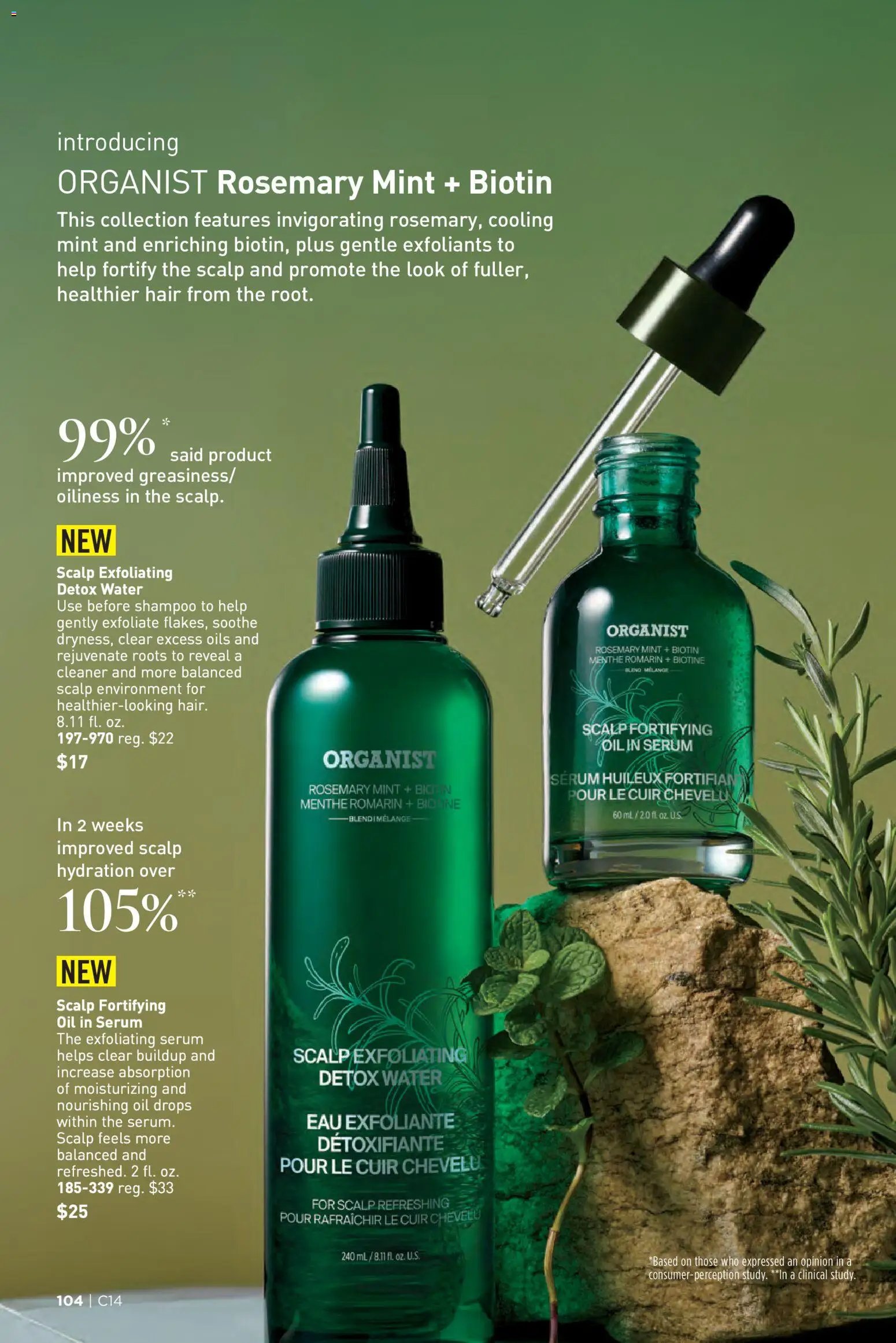 Avon Brochure