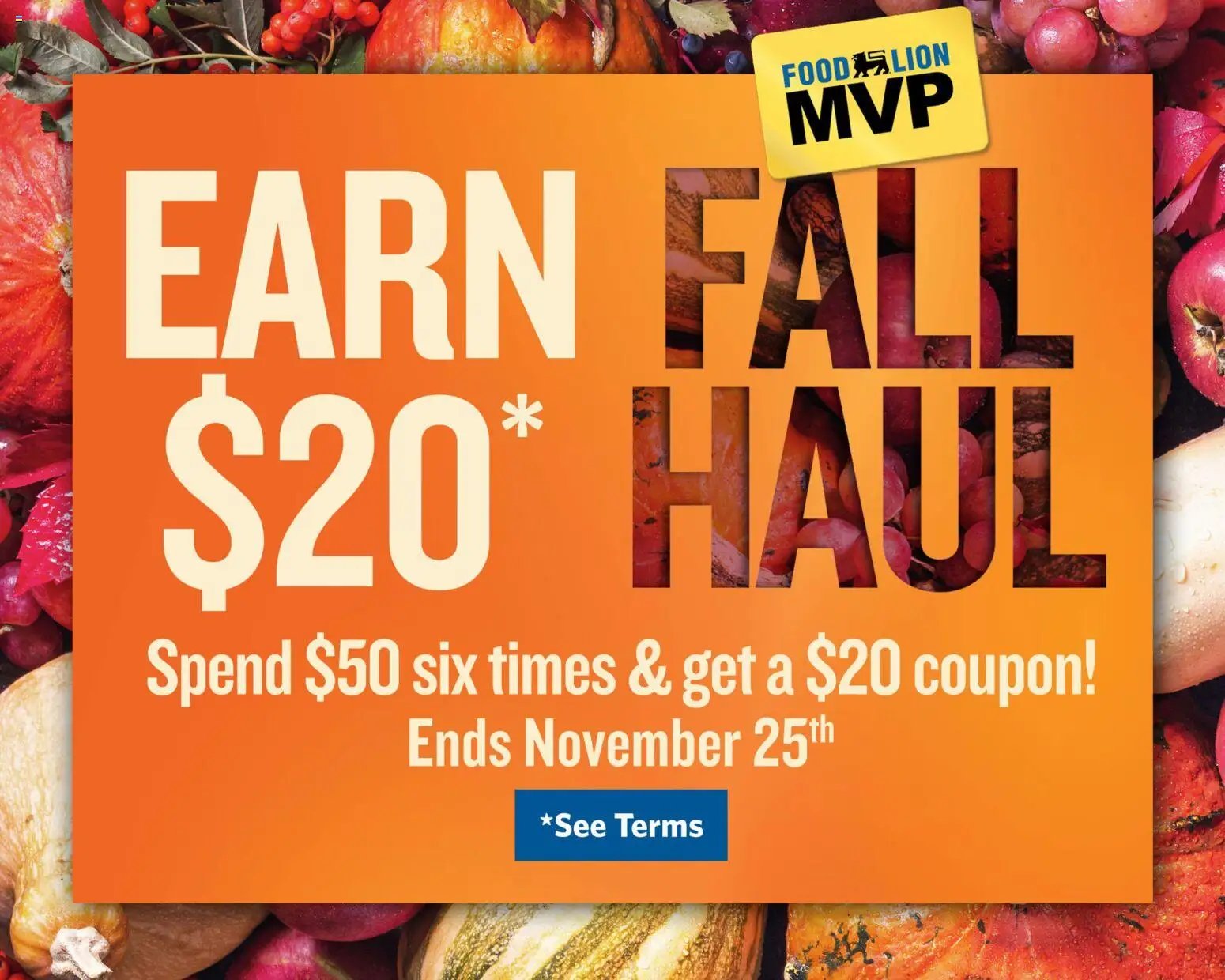 Food Lion Weekly Ad