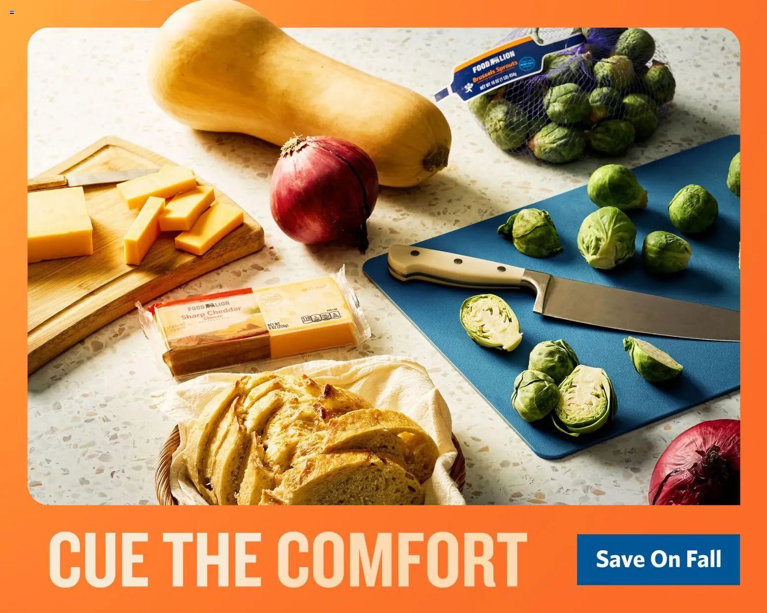 Food Lion Weekly Ad
