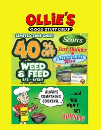 Ollie's Ad
