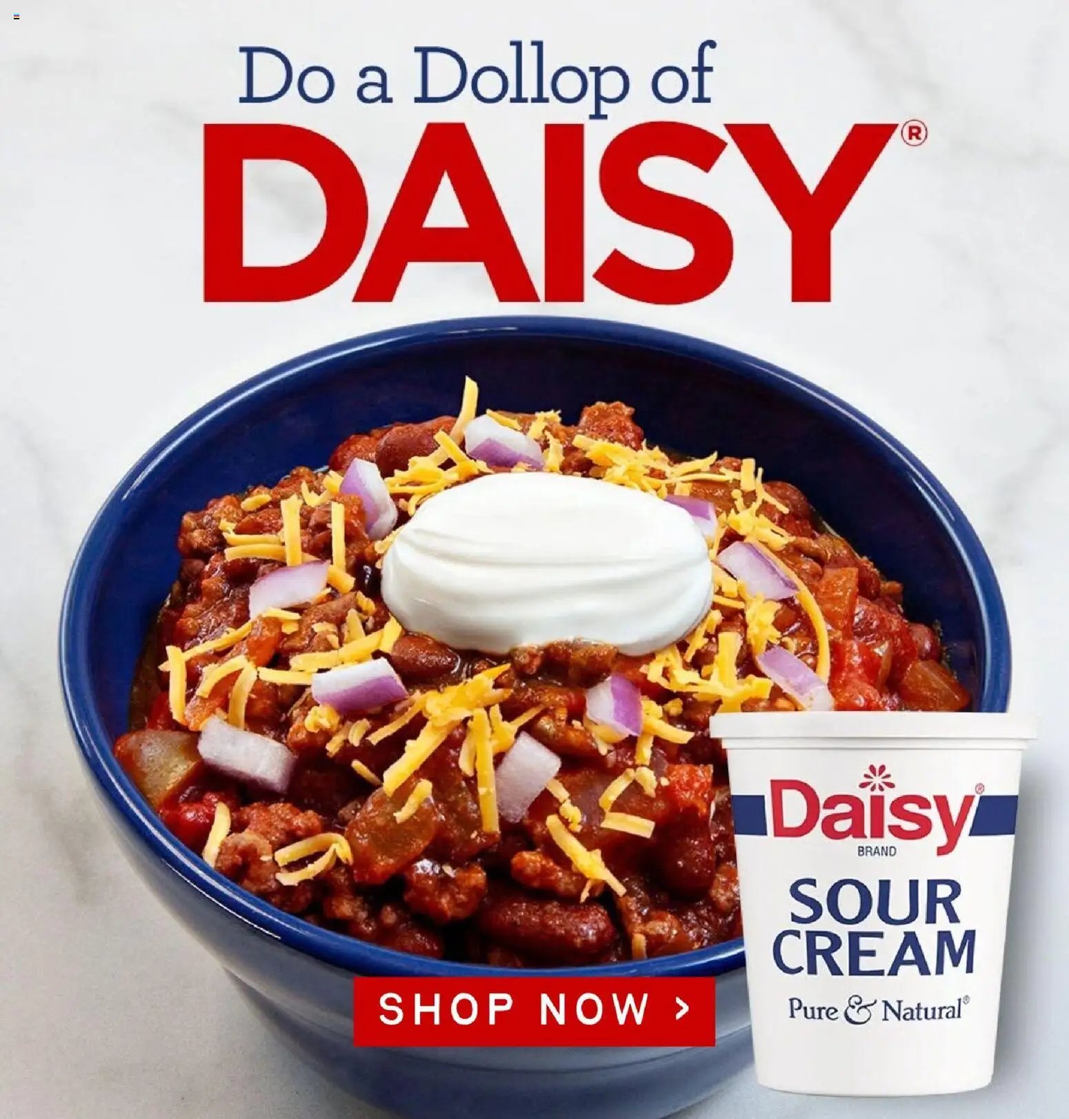 Lowes Foods Weekly Ad - GA