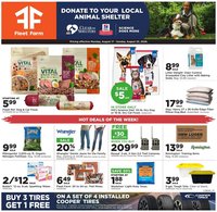 Mills Fleet Farm Weekly Ad