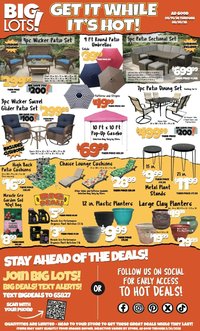 Big Lots Weekly Ad
