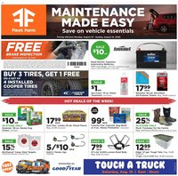 Mills Fleet Farm Weekly Ad