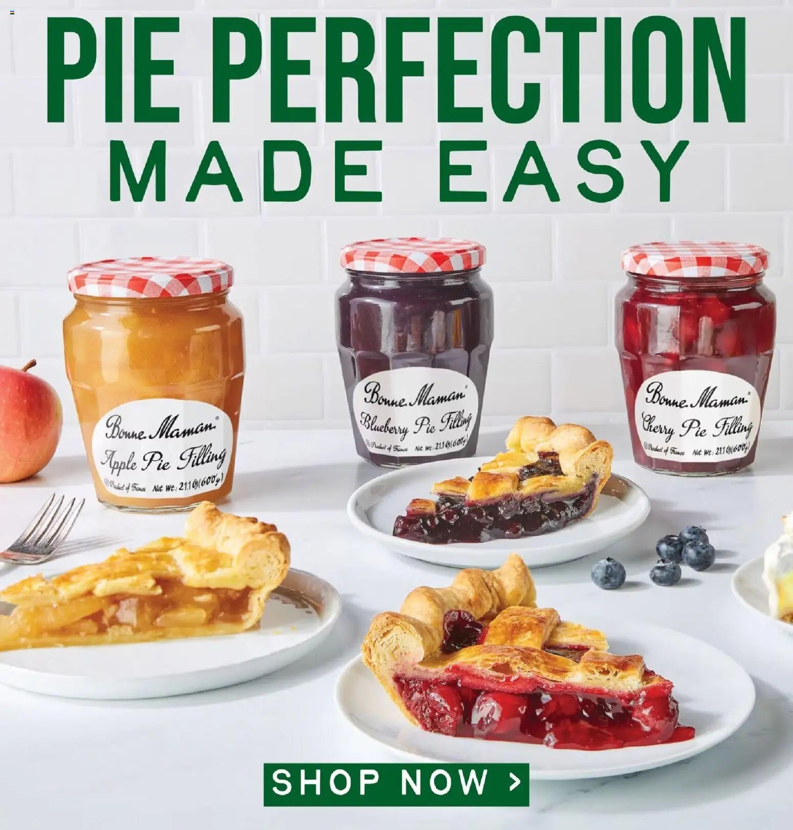 Lowes Foods Weekly Ad - GA