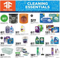 Mills Fleet Farm Cleaning Ad