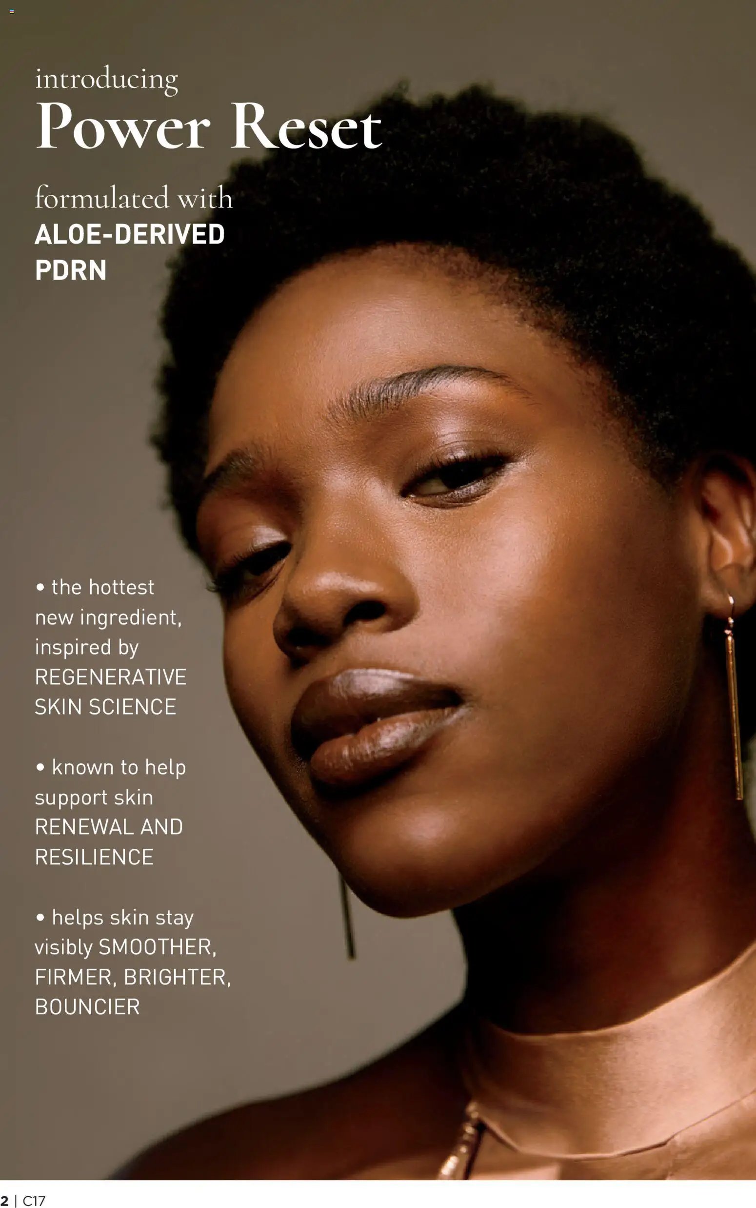 Avon Brochure