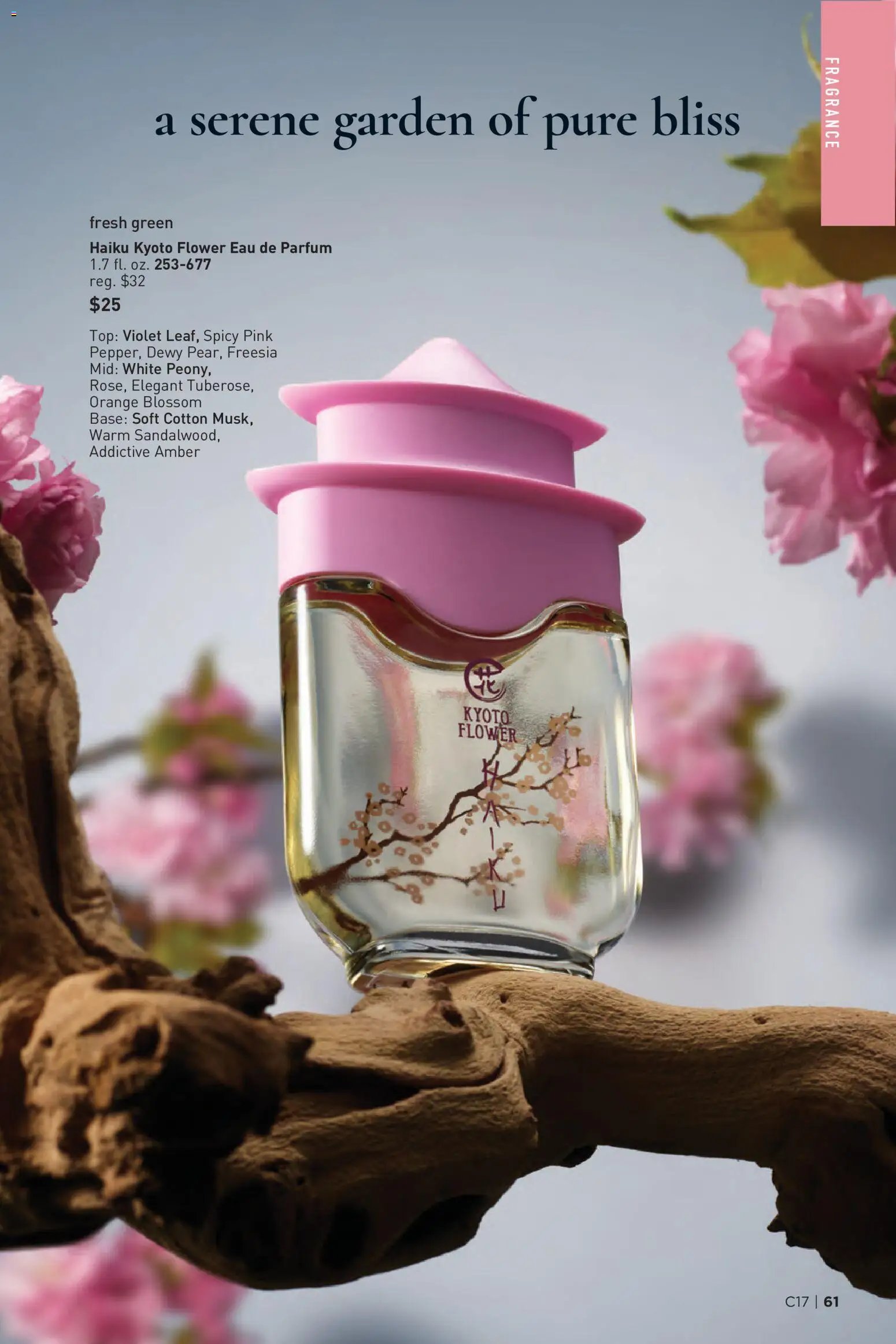 Avon Brochure