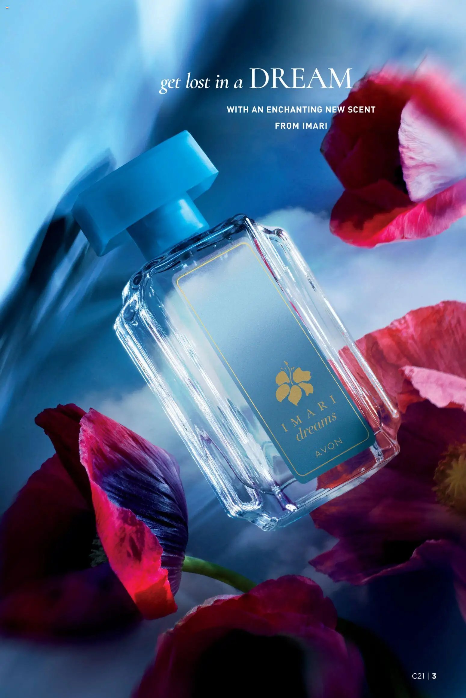 Avon - Brochure