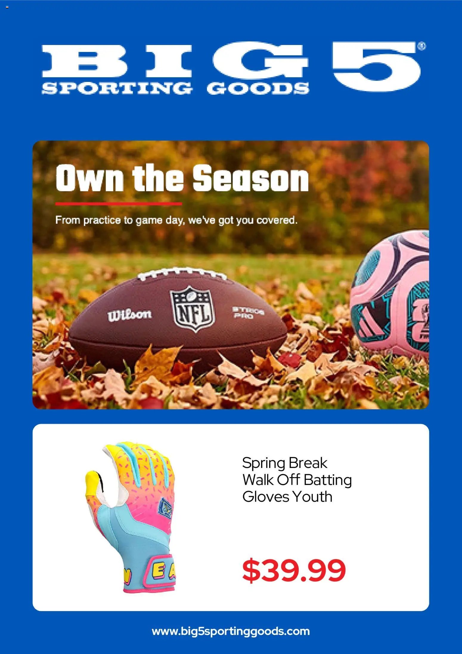 Big 5 Sporting Goods Weekly Ad
