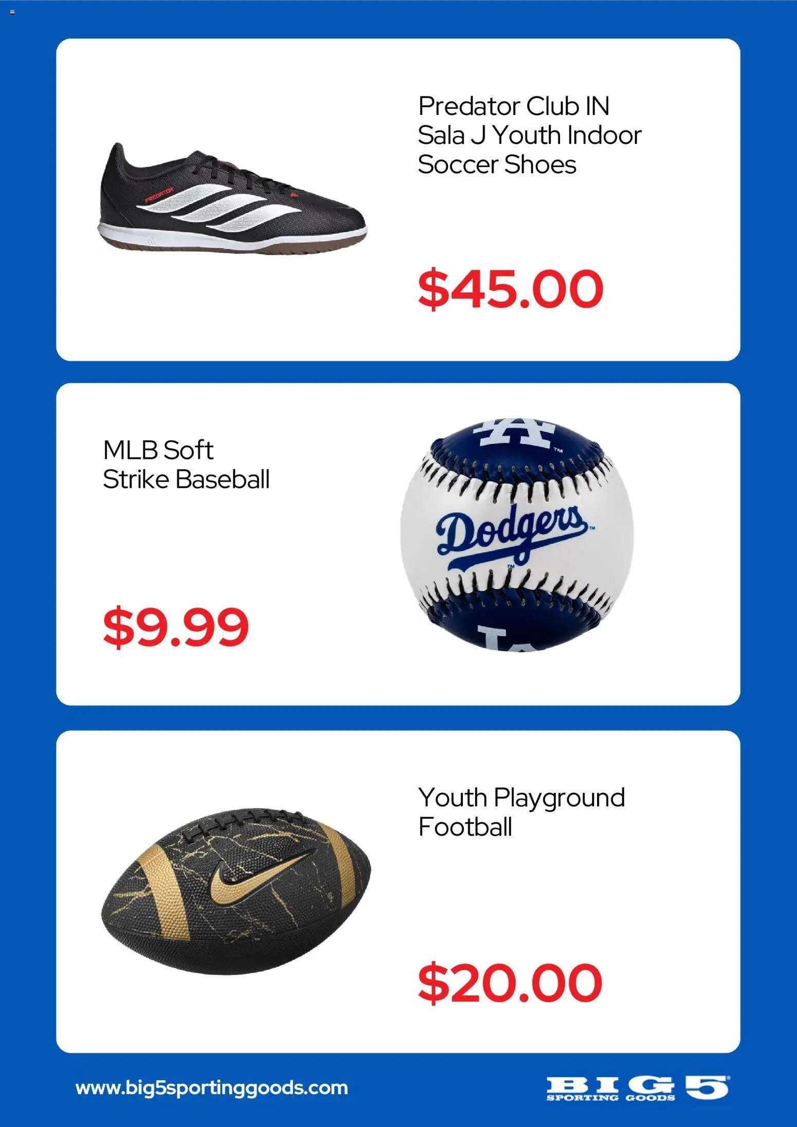 Big 5 Sporting Goods Weekly Ad