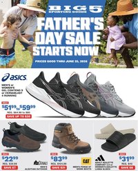 Big 5 Sporting Goods Weekly Ad