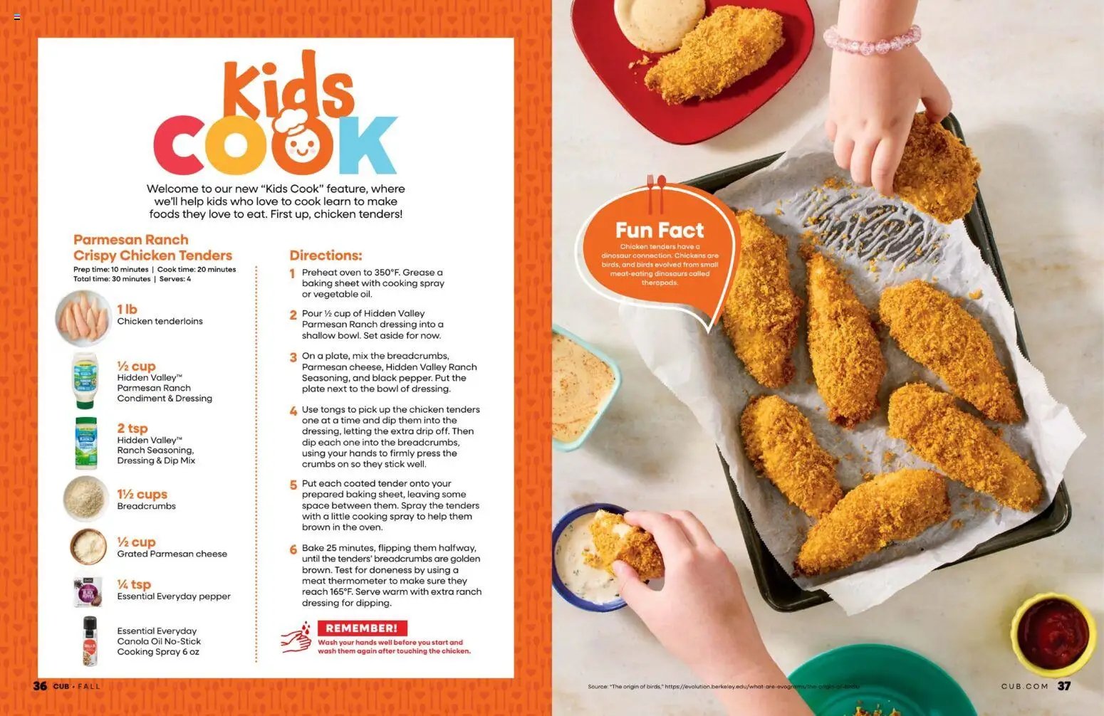 Cub Foods Fall Magazine
